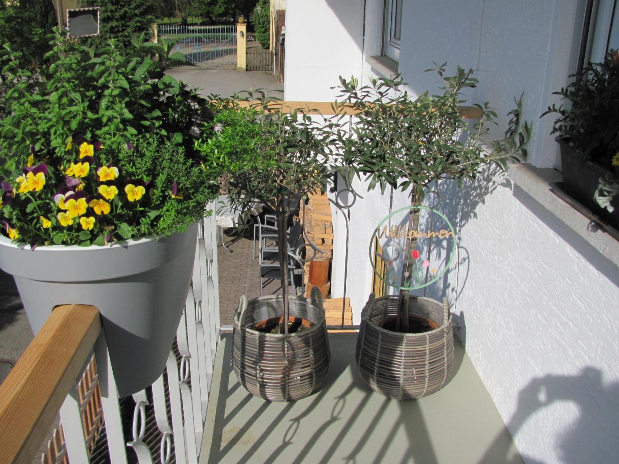 #1Gemuetliches Ruhiges Sonniges Balkonzimmer Mit Gemeinschaftsbad W-Lan Airport Nah Late Night Check In Haus Nr 9,5 Trunkelsberg Экстерьер фото